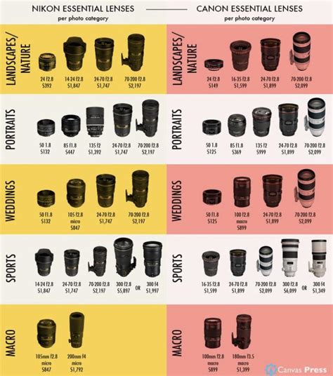 5 Lenses Vs Lens Facts: Essential Photography Guide